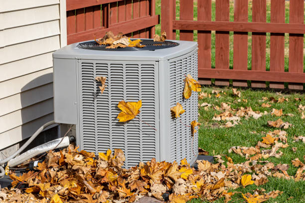 Best HVAC Air Duct Cleaning  in Independence, VA